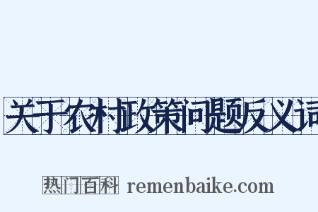 关于农村政策问题反义词是什么意思的图片